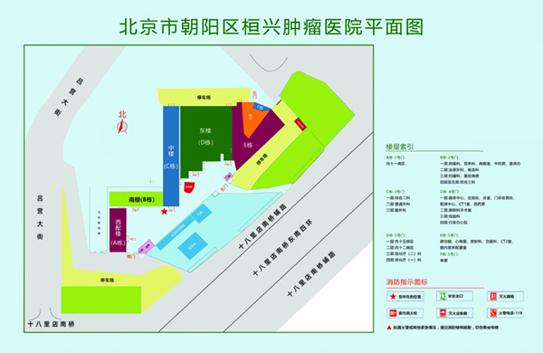 操屄爽操屄爽小嫩逼操屄北京市朝阳区桓兴肿瘤医院平面图